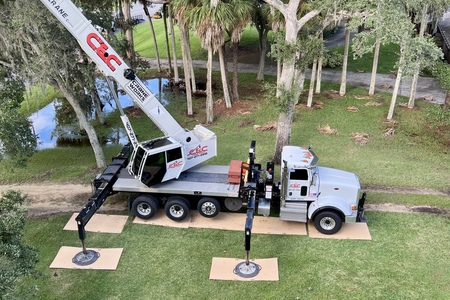 Live Oak removal, Melbourne 