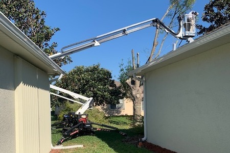Live Oak removal backyard, West Melbourne, FL